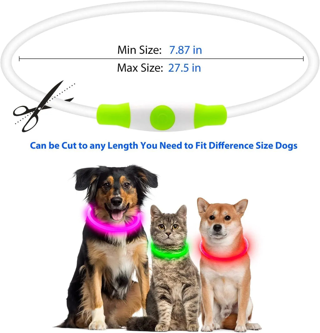 Blue USB rechargeable LED dog collar glowing in the dark on a dog's neck.