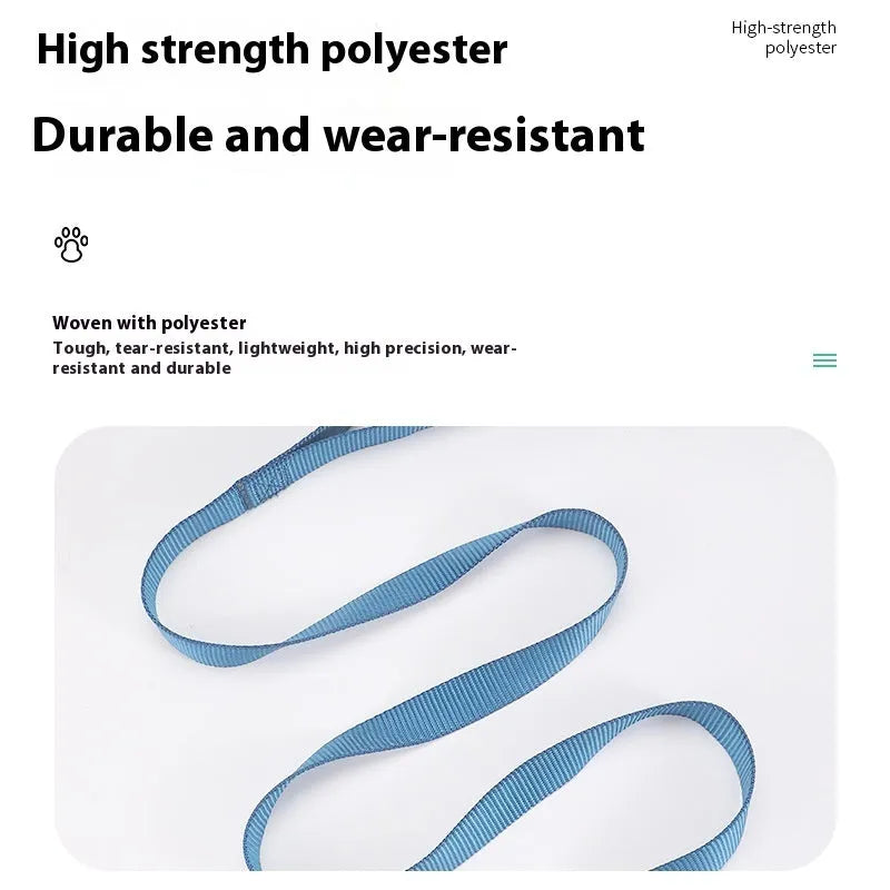 Solid colour polyester dog lead with hand holding loop, shown in blue, red, and black on a white background.