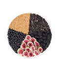Black Wolfberry Tea boxes showing mulberry, fig and flaxseed herbal tea bags with a travel cup.