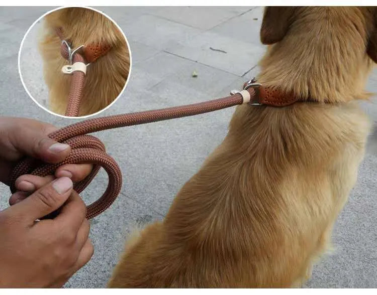 Brown nylon dog leash with P-chain hand holding rope showing 2.1 metre length