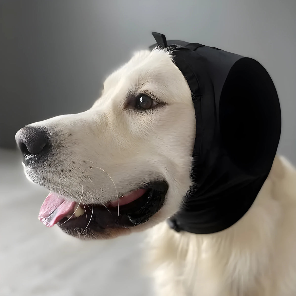 Dog earmuffs for hearing protection, nylon noise reduction ear muffs in black or blue, sizes S to XL