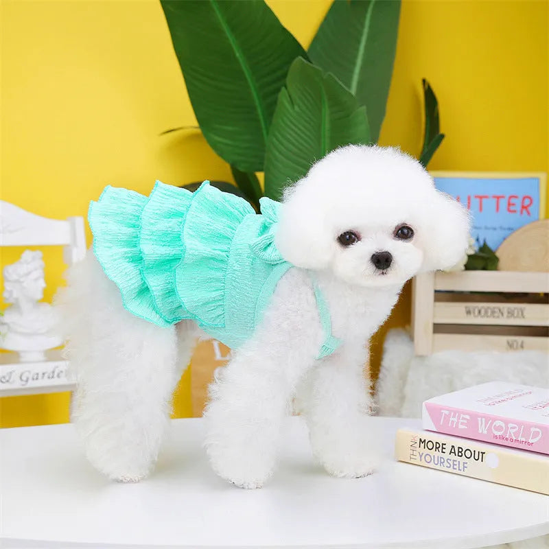 Small dog wearing princess dress with layered skirt in rose red, yellow or green