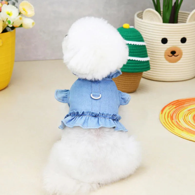 Blue denim dog dress with ruffles and a metal leash hook on the chest, shown on a small dog