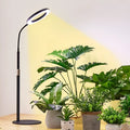 White aluminium alloy retractable floor stand plant grow light with angel ring head positioned over indoor plants.