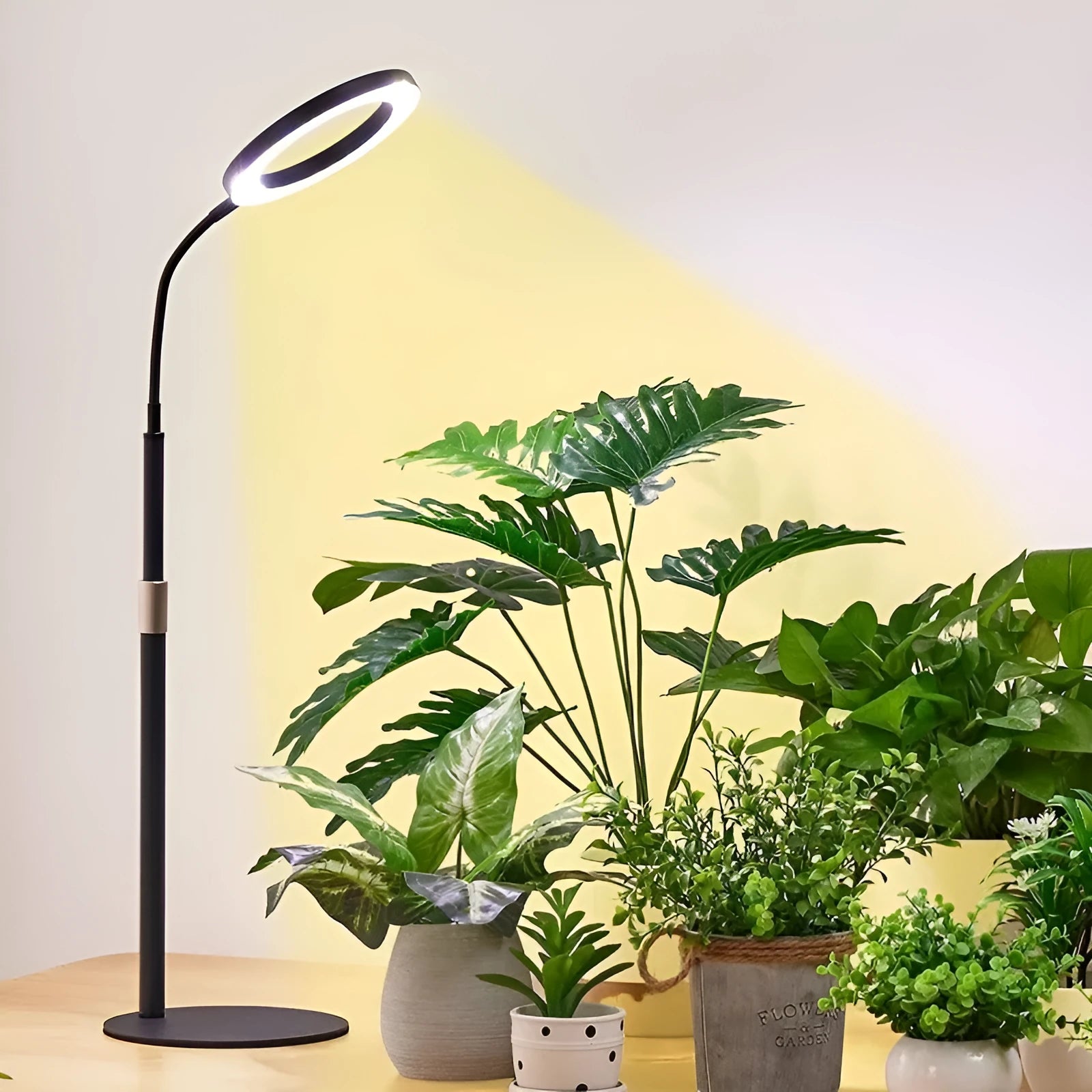 White aluminium alloy retractable floor stand plant grow light with angel ring head positioned over indoor plants.