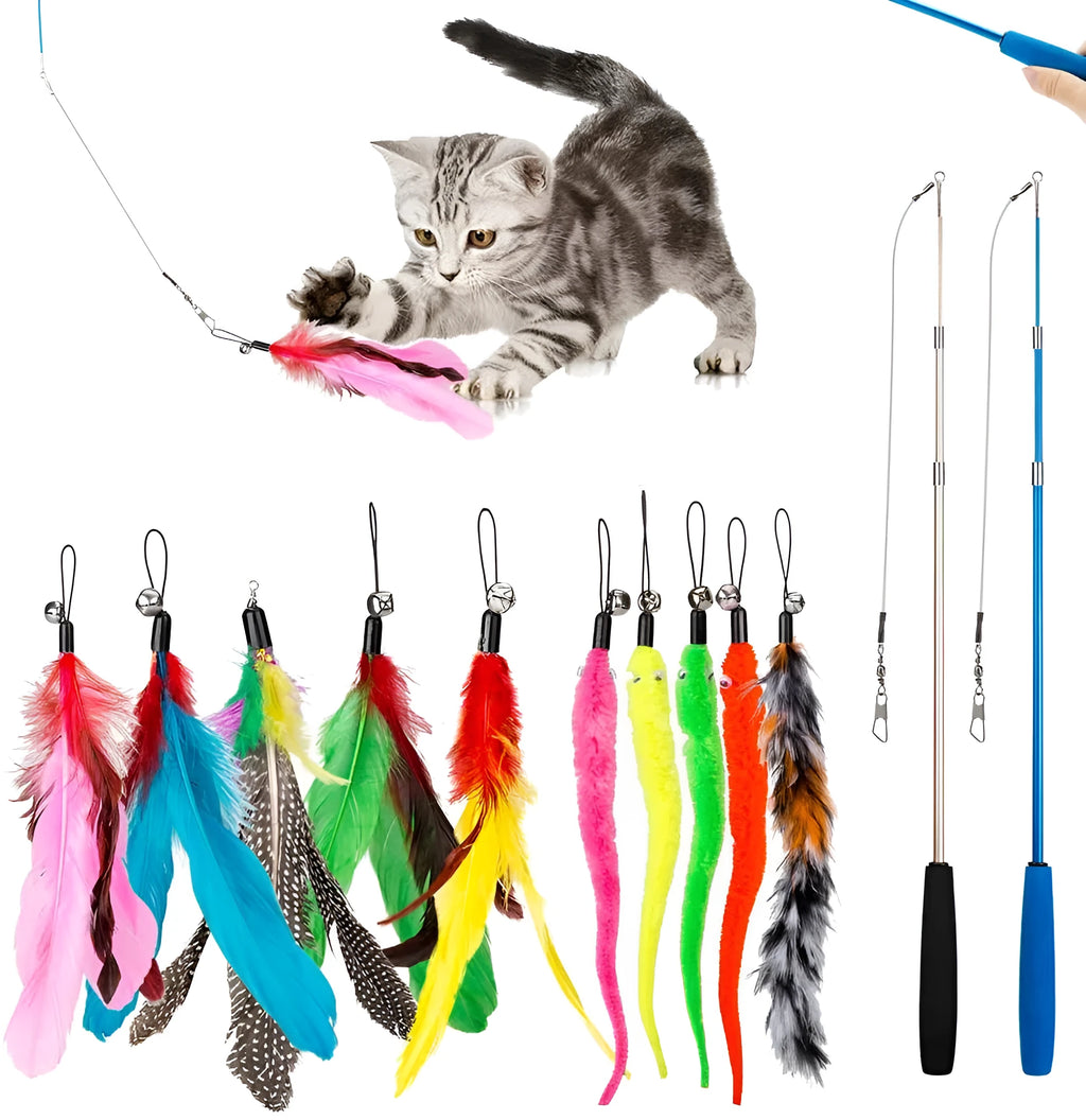Cat teasing fishing rod toy with feather attachments, two poles and ten interchangeable heads