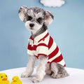 Striped dog polo shirt with beaded lapel and elastic fit, polyester pet vest in pink, green, red, or blue stripes
