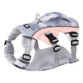 Reflective dog cooling chest strap harness in light blue on a dog.