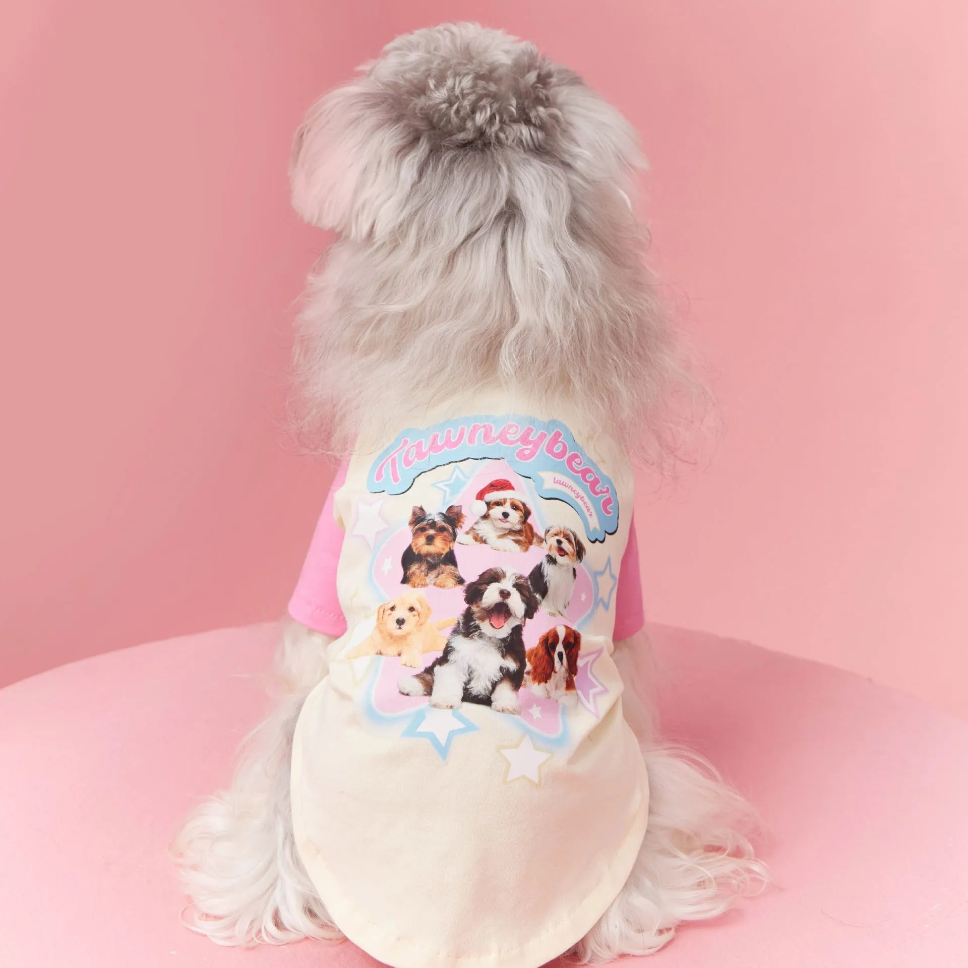 Red embroidered cotton dog summer vest showing contrast colour detailing and handsome styling
