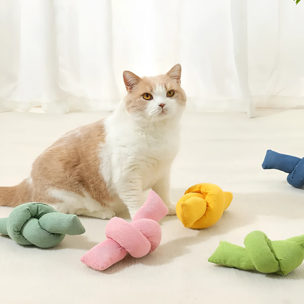 White cotton knotted dog rope toy for interactive play and dental care