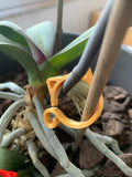 Decorative red cat-shaped plastic plant clip on a small green plant stem.