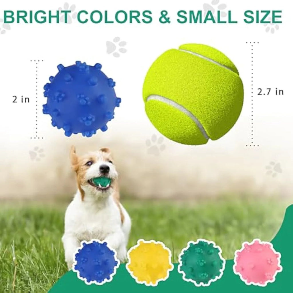 Four bright spiked squeaky dog balls in blue, green, pink, and yellow for small breed puppies.