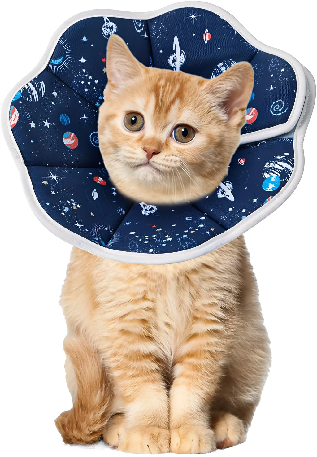 Soft cat recovery collar in constellation colour showing adjustable fastener and soft interior padding