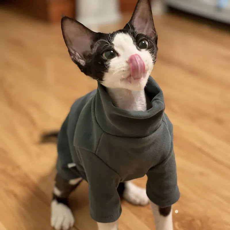 Dralon self-heating hairless cat hoodie in black or green polyester fibre