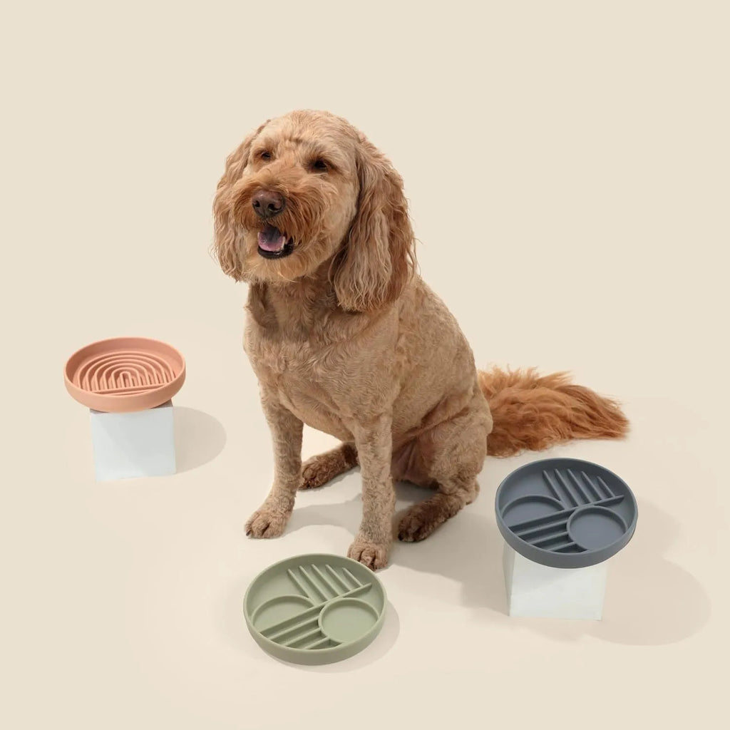 Silicone slow feeder dog bowl with ridges, functioning as a lick mat, in assorted colours.