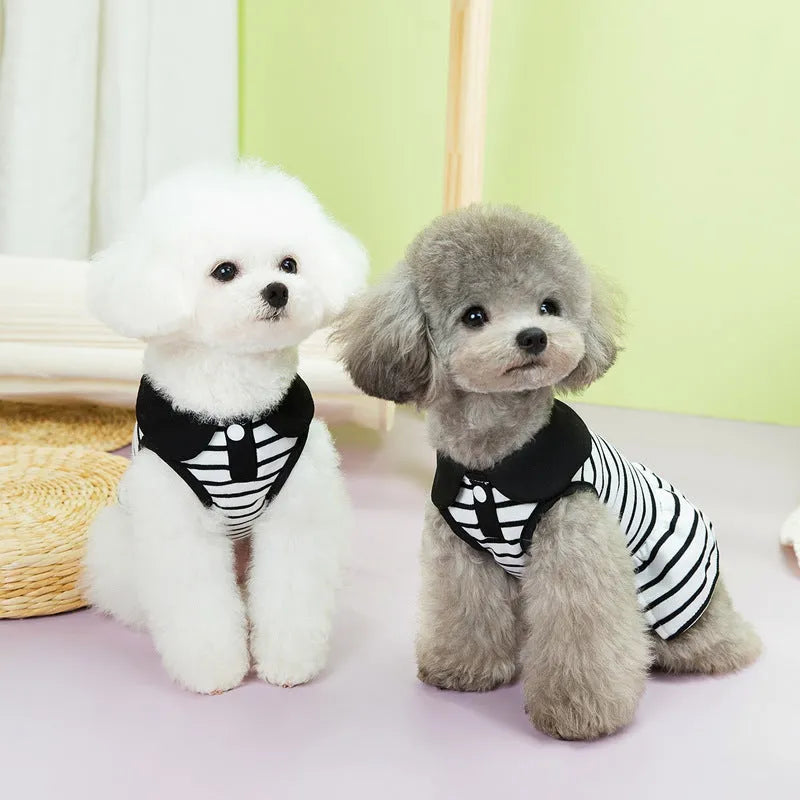 Pet wearing striped cotton t-shirt and matching skirt casual summer outfit
