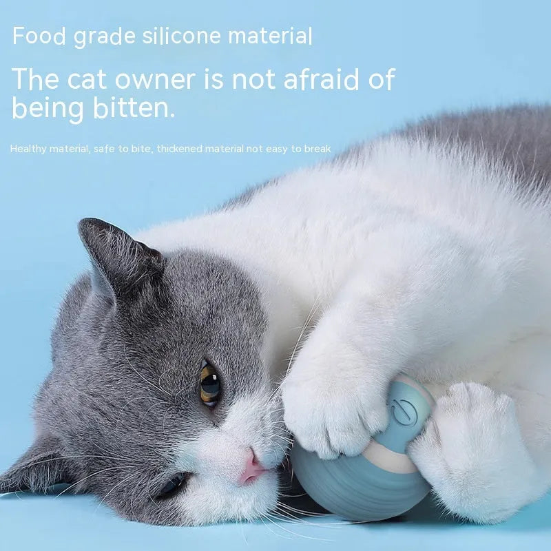 Blue and pink automatic self-moving silicone cat toy ball on a floor.