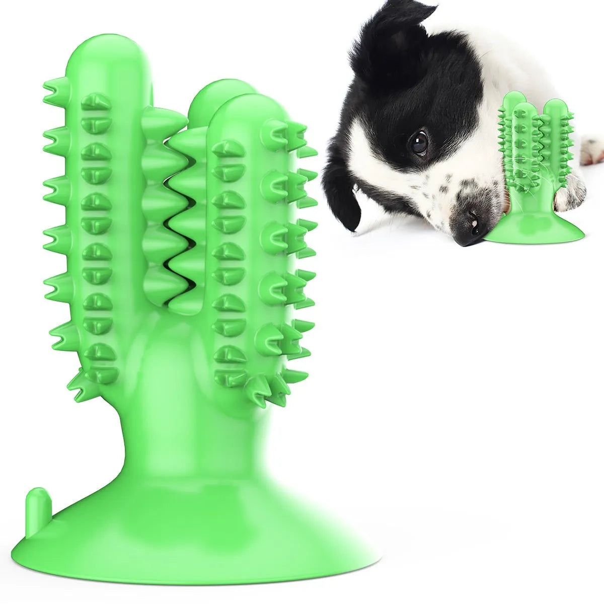 TPR silicone dog molar toy in Cactus Lake Blue colour on white background