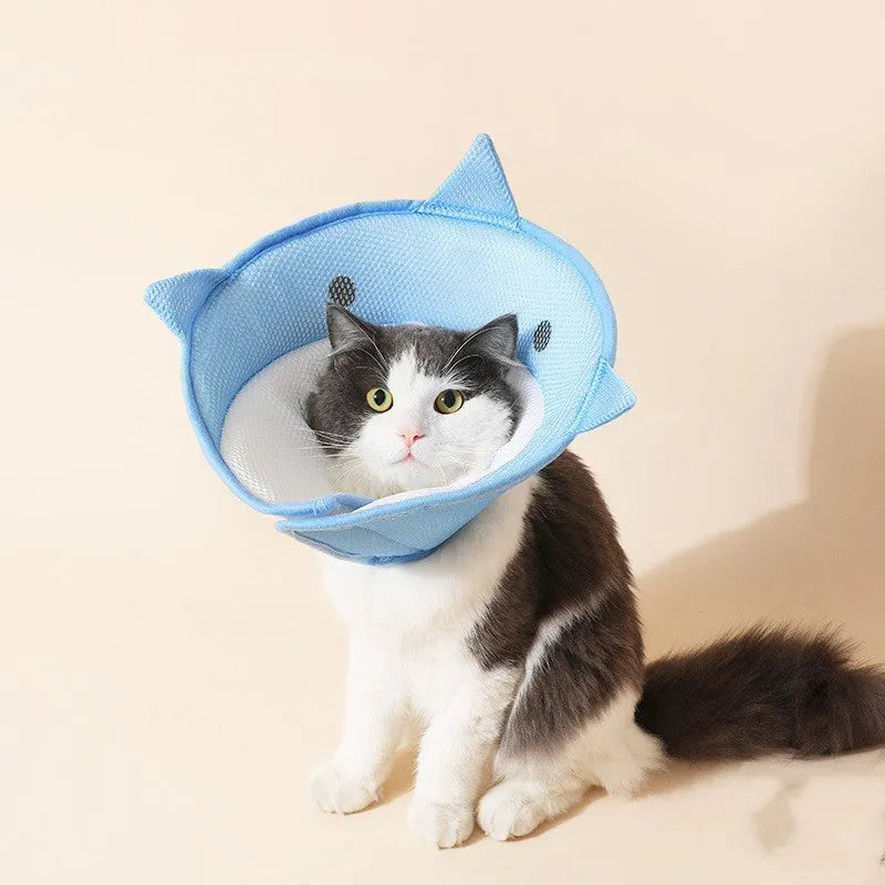 Pet protective cover in blue shark cartoon pattern made of mesh cloth for cats and dogs