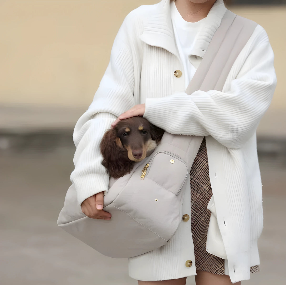 Crossbody bag for small breed dogs in off-white or grey, one size fits all and recommended up to 10 jin