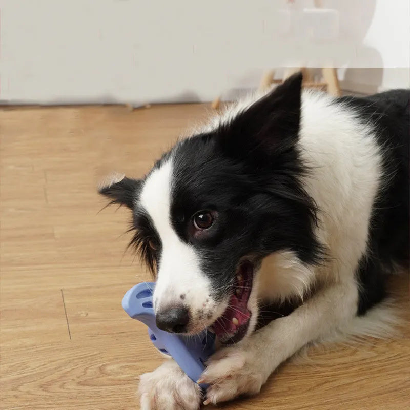Blue bite-resistant boomerang dog toy with molar-shaped chew centre for large dogs