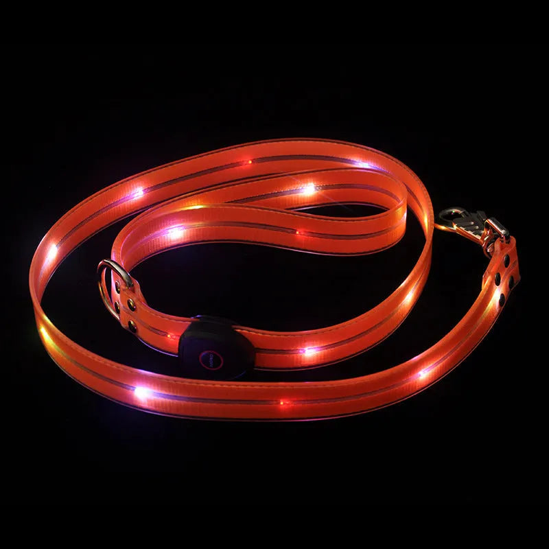 Luminous PVC dog leash in fluorescent green with 120cm length and 25mm width