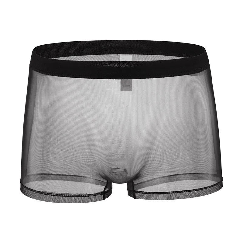 Men's thin mesh boxer briefs in sheer polyester fabric with low waist design