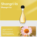 White ultrasonic aroma diffuser with control buttons and mist output, shown with essential oil bottle