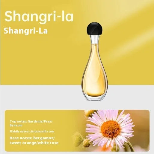 White ultrasonic aroma diffuser with control buttons and mist output, shown with essential oil bottle