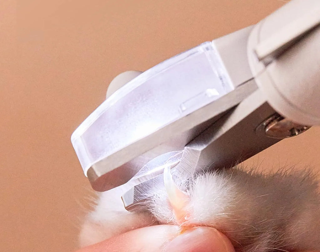 White pet nail clippers with LED light, transparent guard, triangular blades, and anti-slip handles for cat and dog grooming