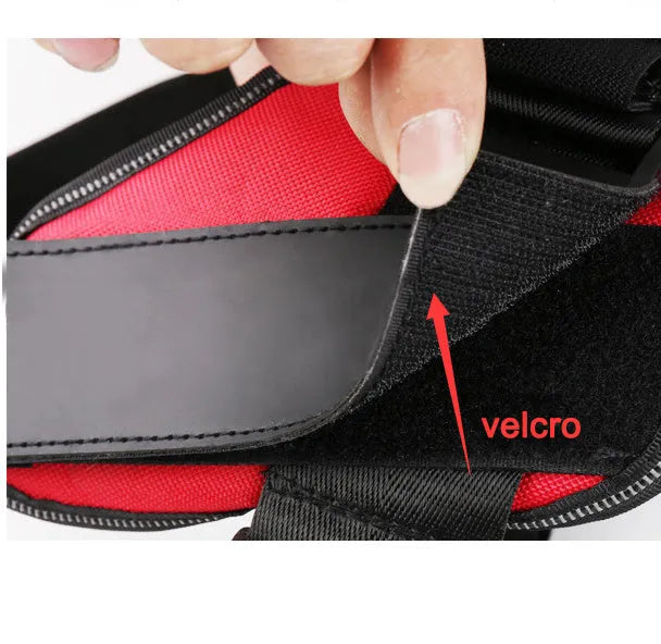A personalised nylon dog harness with reflective strips, adjustable chest strap, and a sturdy handle shown on a dog.