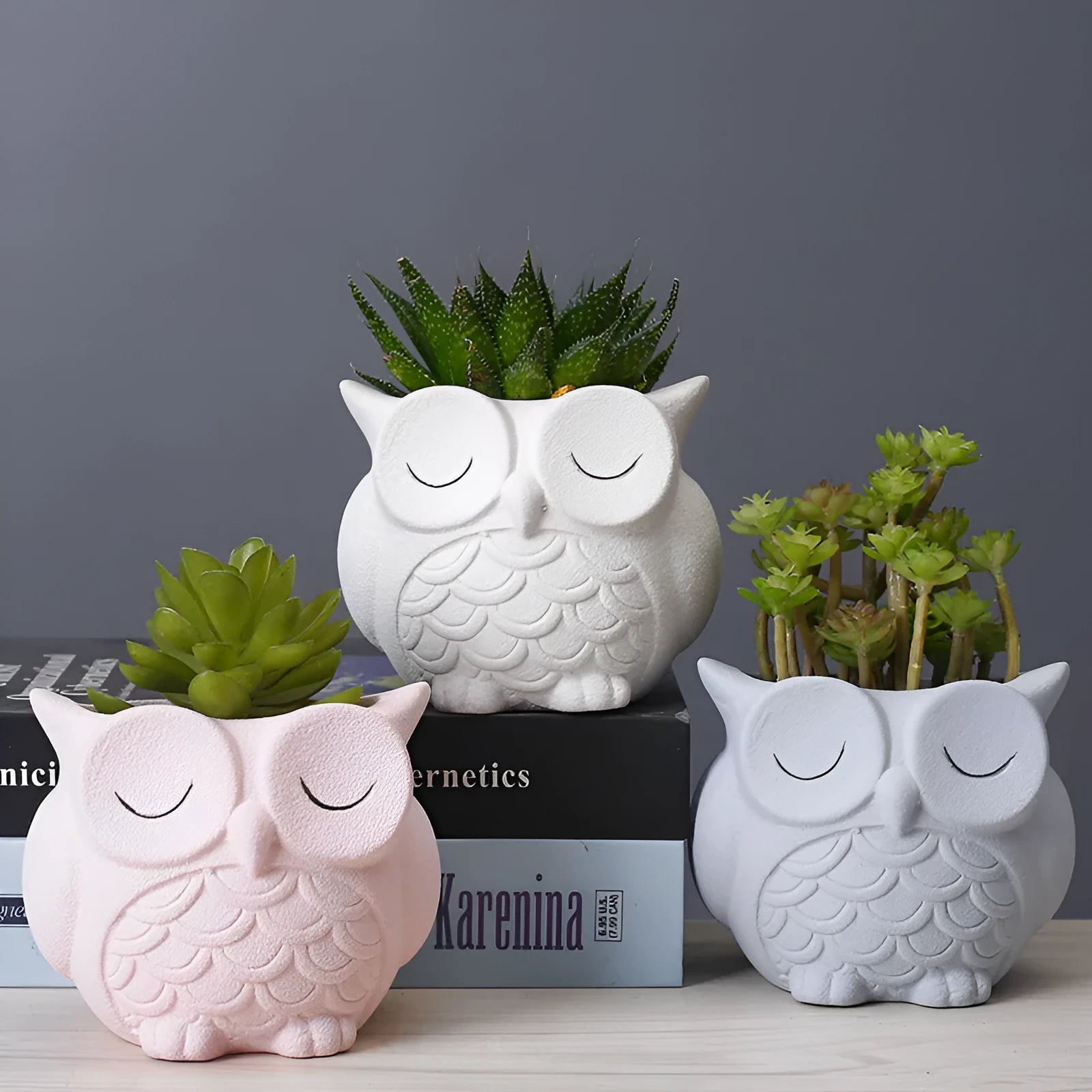 Handmade frosted ceramic owl succulent pot in pastel colour on a wooden surface.