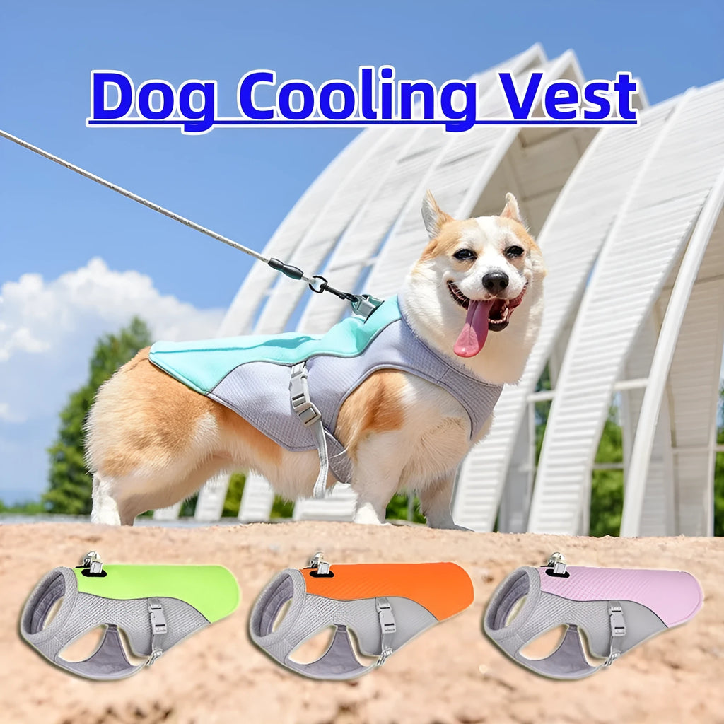 Dog wearing orange cooling vest with heat reflective outer layer and UV protection, designed for outdoor walks in summer