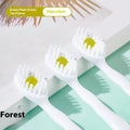 Boxed disposable bead toothbrush with mint peach plum green tea flavour options