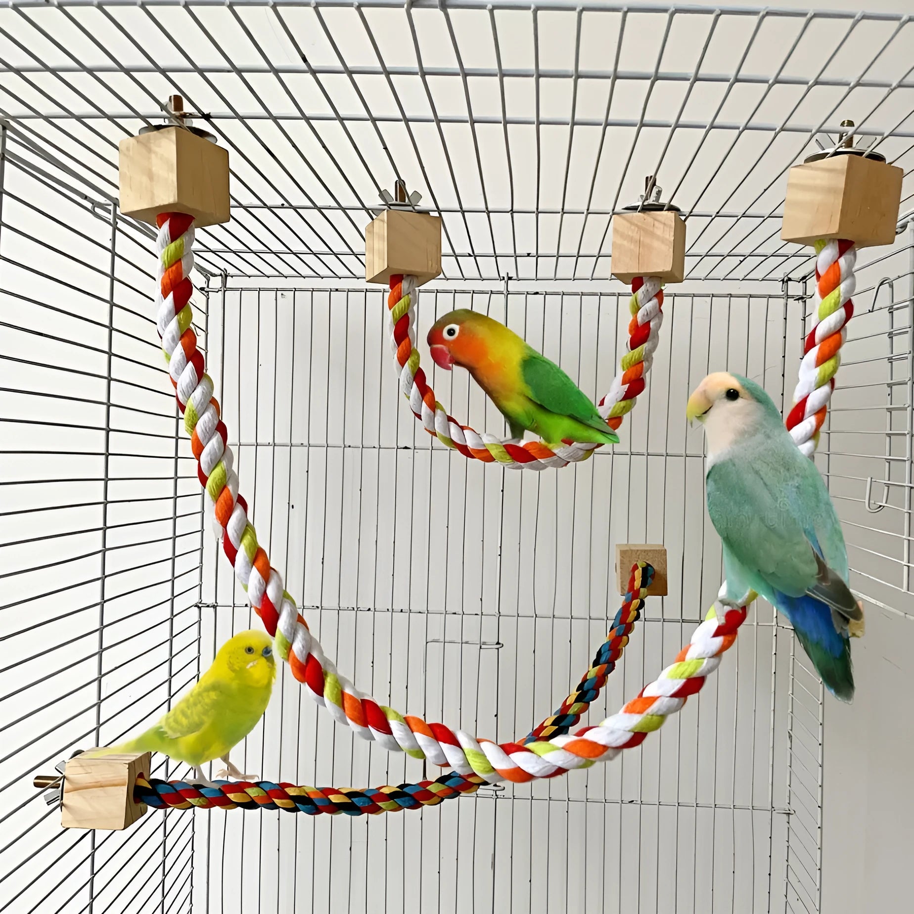 Parrot climbing rope toy with wooden rings in 30cm size, natural wood and rope construction, dark floral pattern