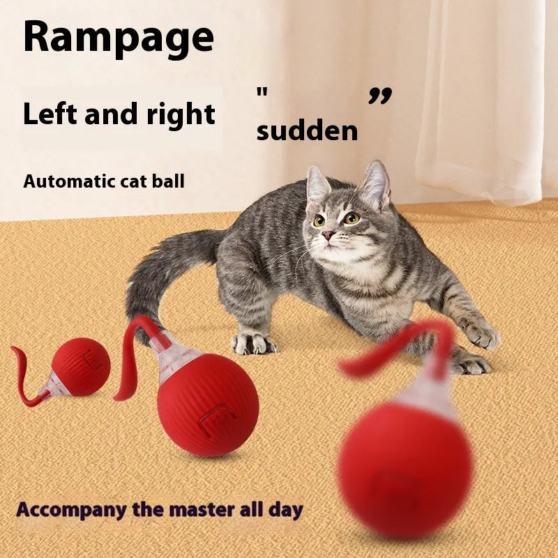 Interactive electronic cat toy ball with coloured lights on a carpet, showing Magic Tail and With Rope style variants.