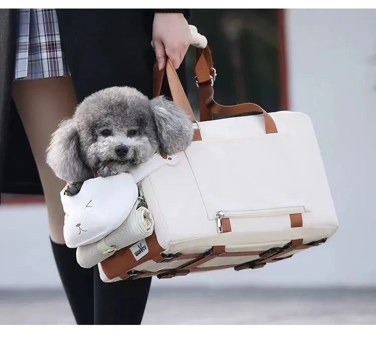 Beige hard-shell portable cat carrier with EPE padding for car and outdoor travel