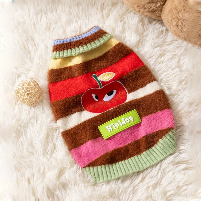 Corgi dog wearing a rainbow apple striped knitted pullover sweater in brown, standing on grass