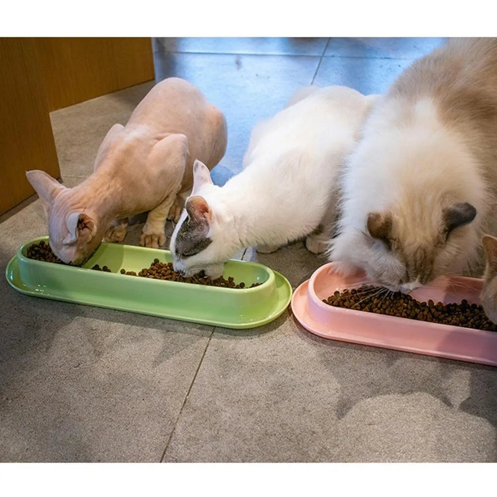 Green leakproof pet feeder bowls with non-slip base for dog and cat feeding