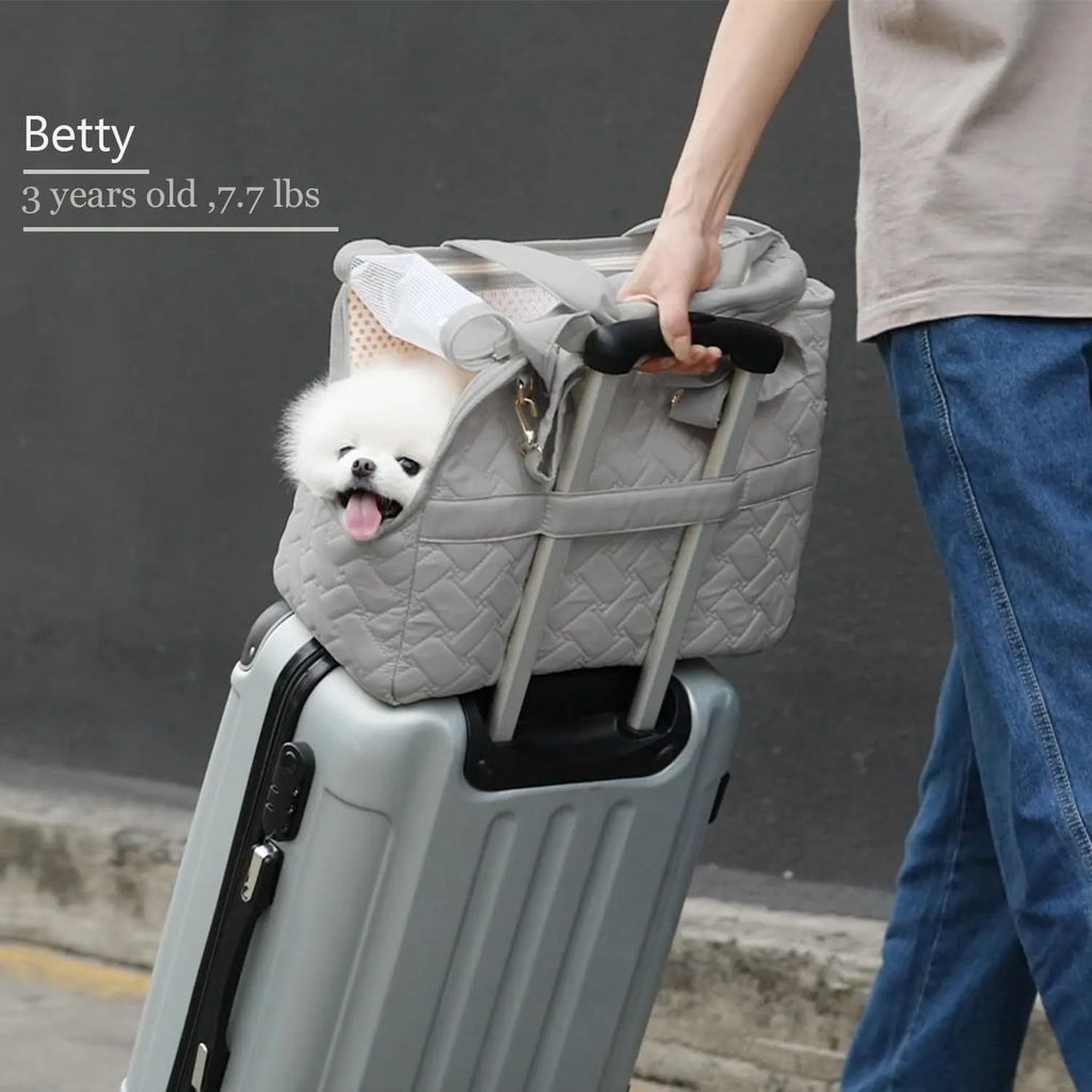 Grey pet carrier handbag with mesh panels showing interior cushion and safety cord attachment