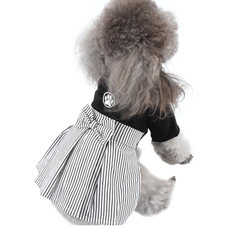 Poodle wearing either a cotton skirt or four-legged trousers, showcasing the two style options for seasonal dog clothing.