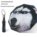Tri-fold folding umbrella showing eccentric gesture pattern with iron frame and plastic handle
