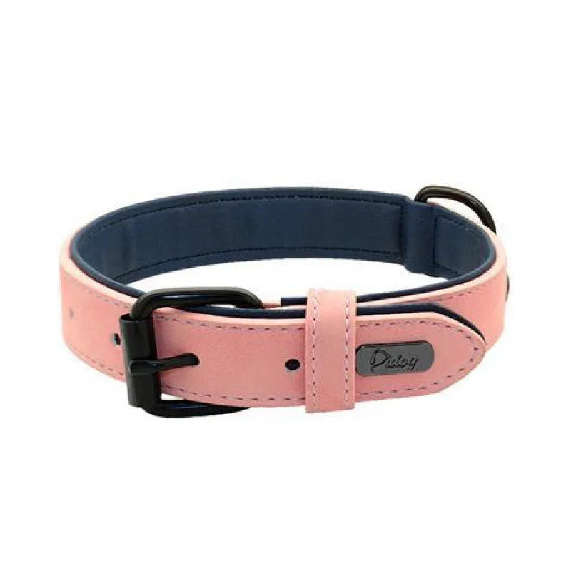 Adjustable dog collar showing PU front and microfiber back in purple colour