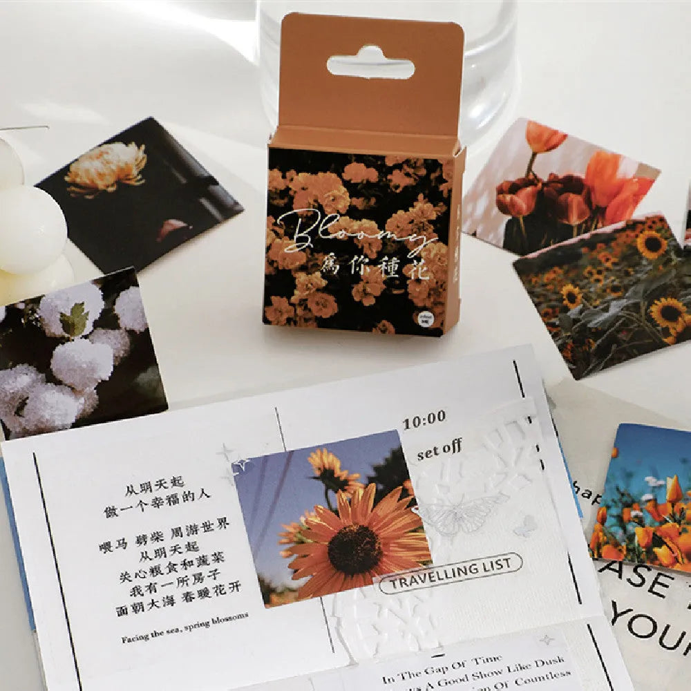 Box of mountain and sea sunshine decorative stickers showing six colour themes with 44mm square designs