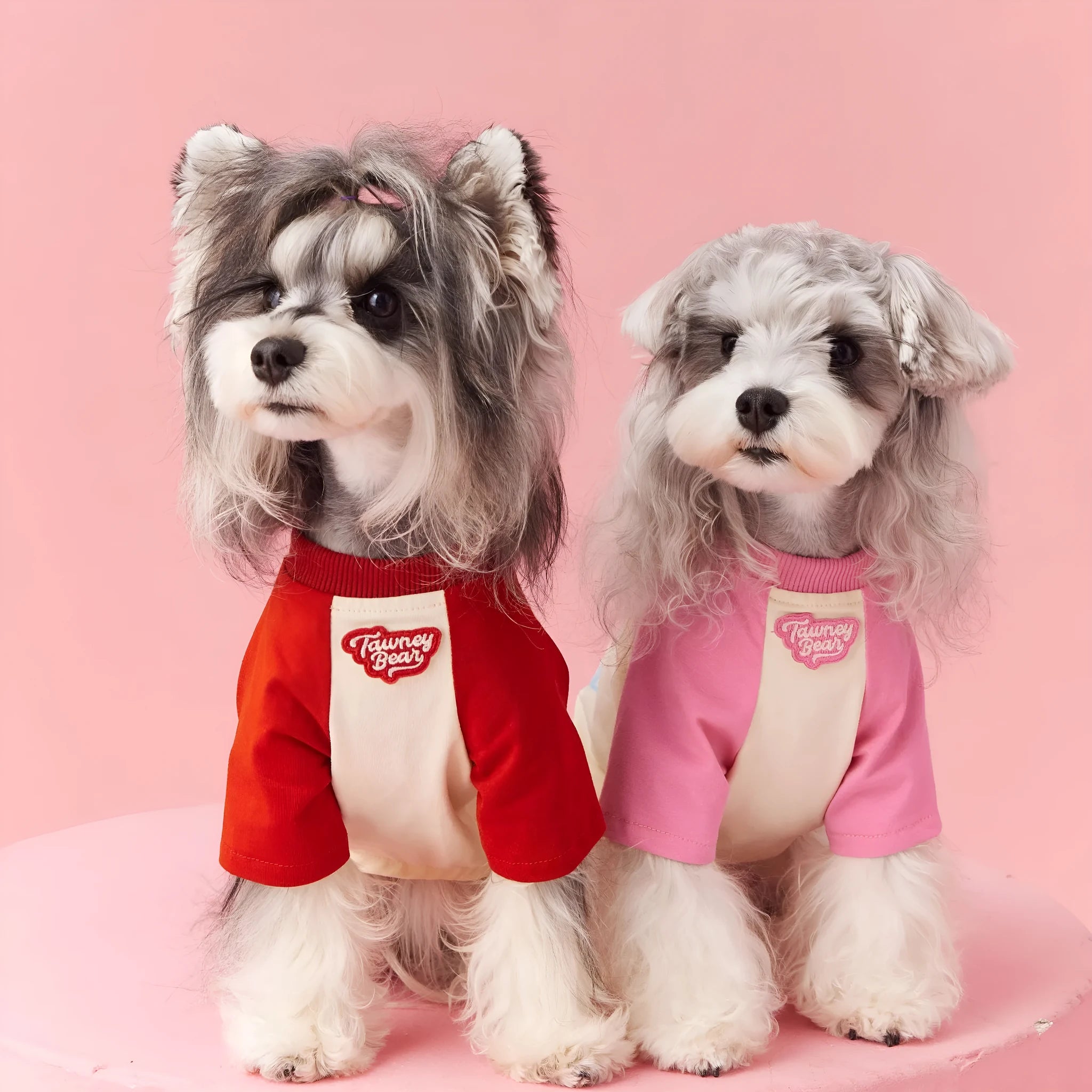 Red embroidered cotton dog summer vest showing contrast colour detailing and handsome styling