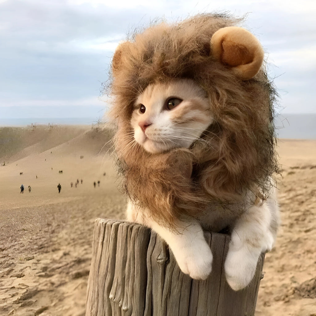 Lion mane wig accessory on cat with adjustable elastic band and fluffy artificial hair