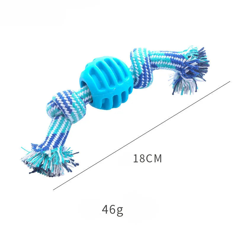 Blue molar-shaped dog chew toy with a white rope threaded through the centre.