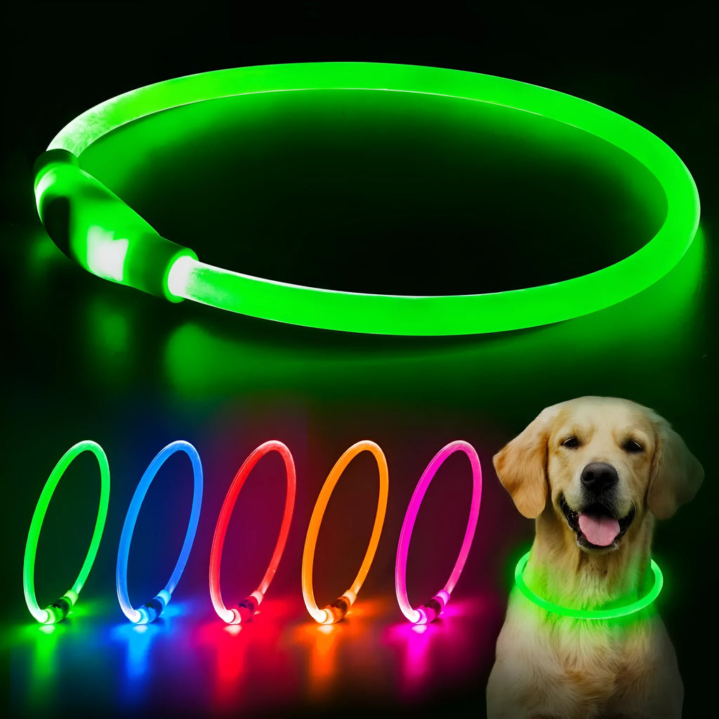 Blue USB rechargeable LED dog collar glowing in the dark on a dog's neck.