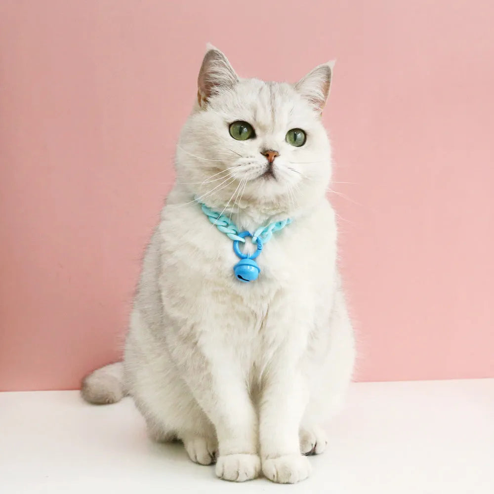 Macaron candy colour plastic pet collar on white background showing chain blue, pink and mixed colour options