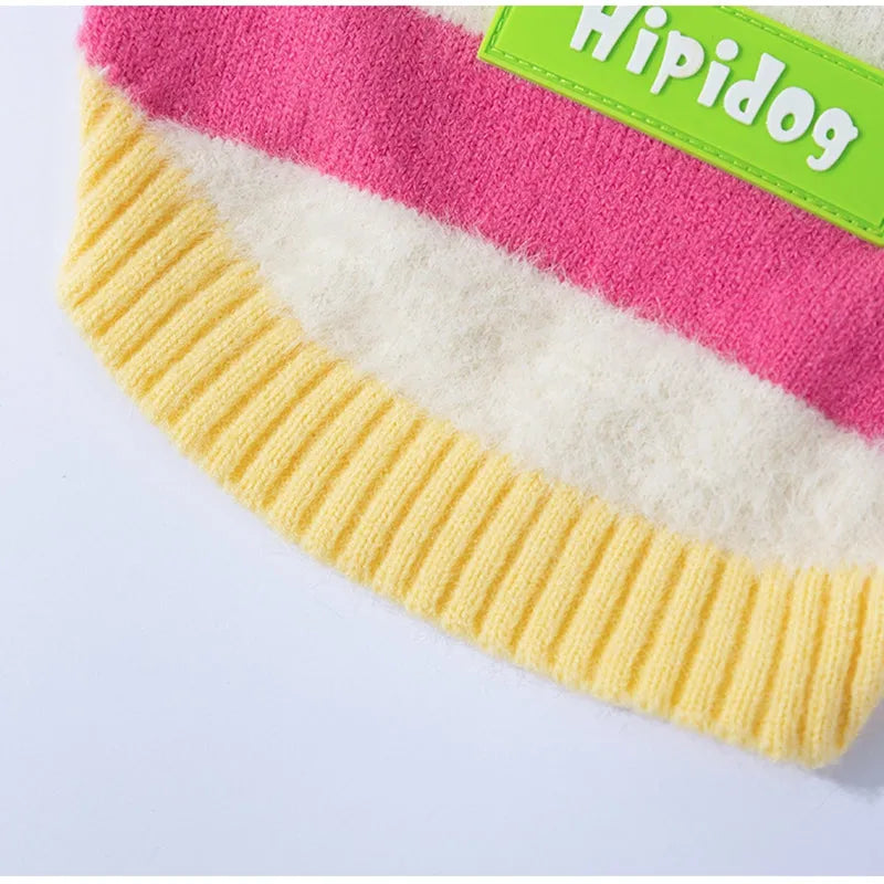 Corgi dog wearing a rainbow apple striped knitted pullover sweater in brown, standing on grass